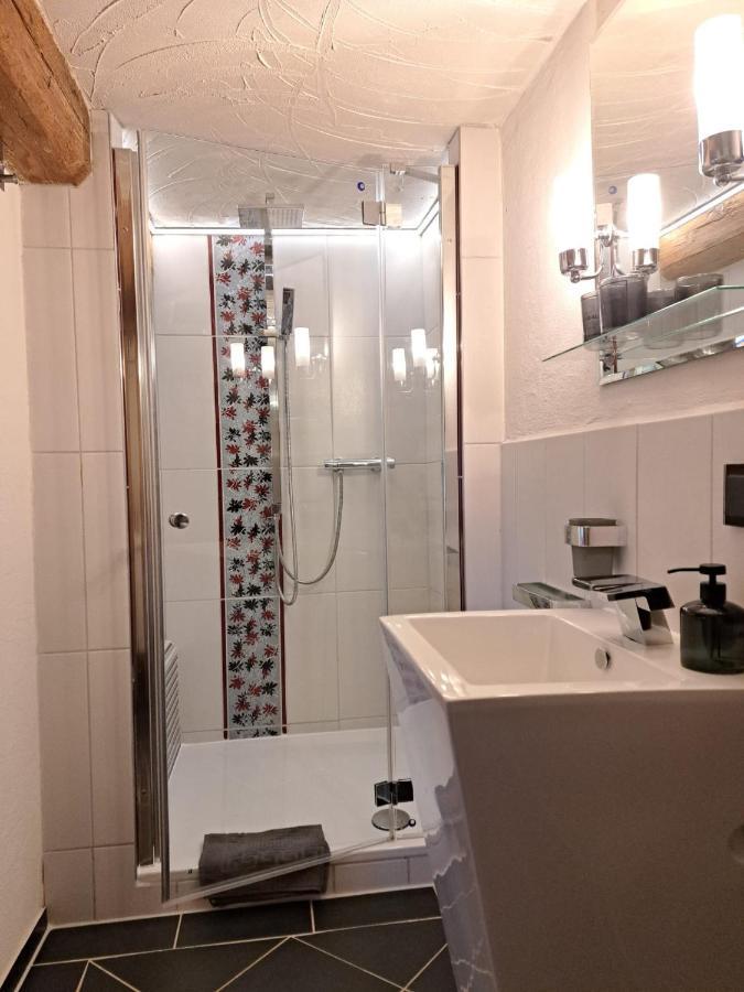 Apartament Auengut-Bertsdorf Zewnętrze zdjęcie